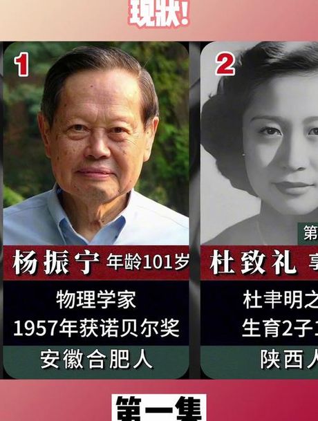 杨振宁子女，杨振宁子女的传奇人生