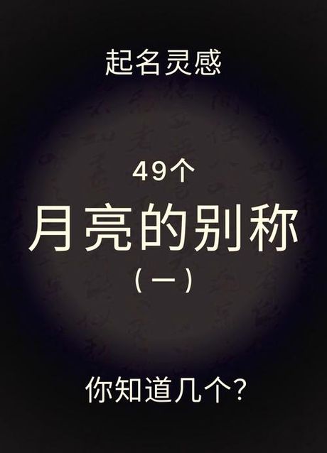 什么的月亮：百科解读