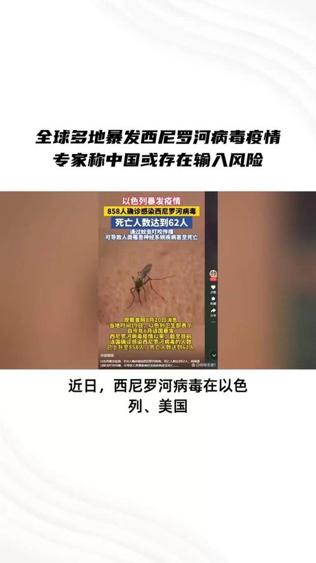 宏病毒，近期全球备受关注的宏病毒攻击事件