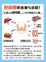 胆固醇高怎么办，如何应对高胆固醇？