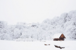 风花雪月的诗句(春风又绿江南岸，风花雪月的诗句赏析)