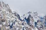 想了解天山雪莲价格？看这里！