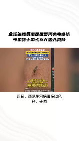 宏病毒，近期全球备受关注的宏病毒攻击事件