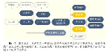 宏源药业：医药产业中的典范