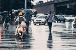 谢雨欣(《你好，神秘的“谢雨欣”》)